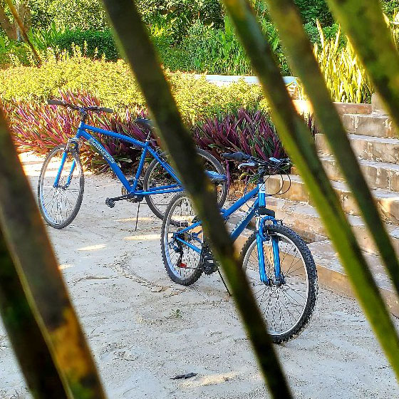 Blue Bikes Zanzibar