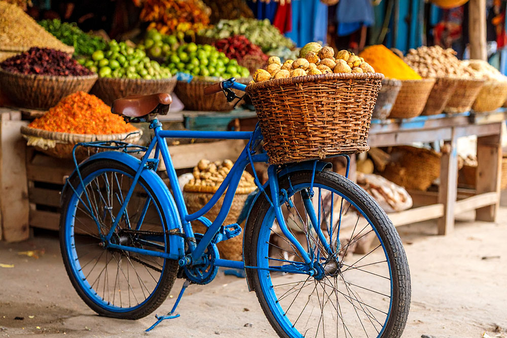 Bluebikes Zanzibar - Guided Spice Tour in Stone Town